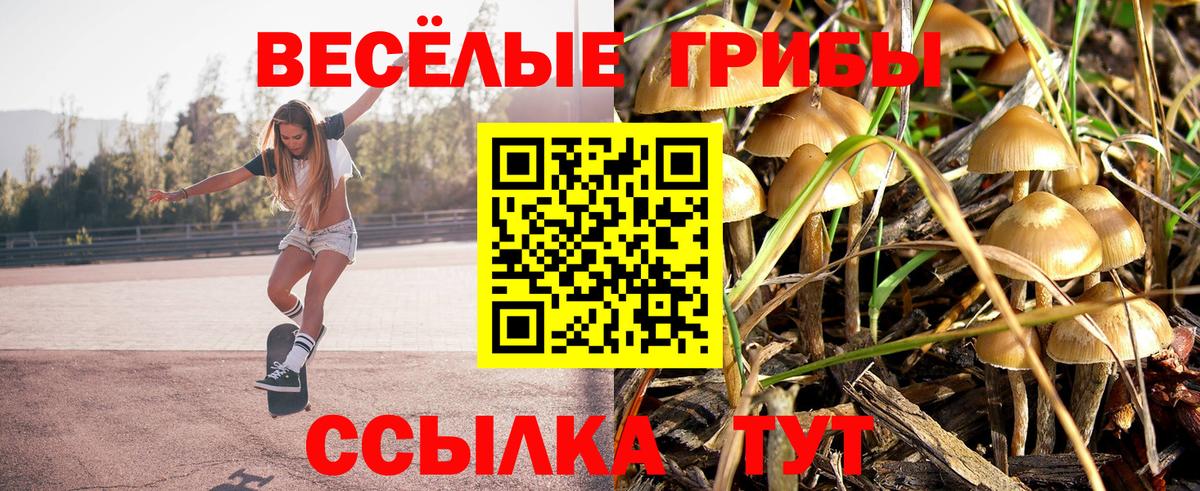 Ярцево  Псилоцибиновые грибы Cubensis  Вход с VPN  Псилоцибиновые грибы ЛСД 