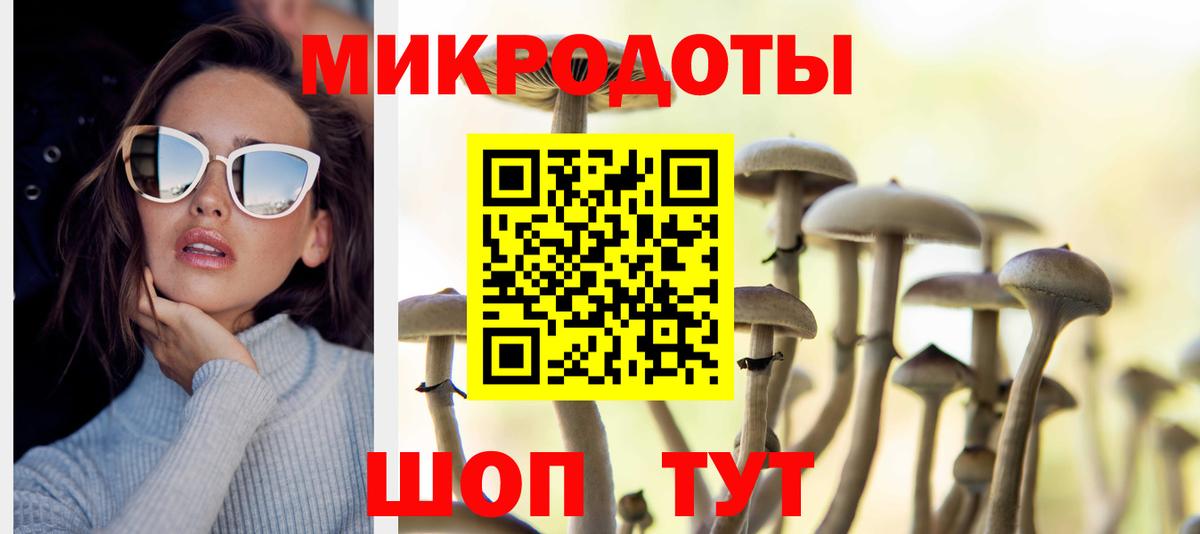 Псилоцибиновые грибы Cubensis Ярцево